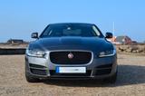 Jaguar XE 25t 240PS Portfolio Automatik Portfolio - Jaguar XE Gebrauchtwagen