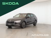 Skoda Octavia - Vorschau Bild 1