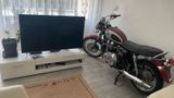 Triumph BONNEVILLE      - Angebote entsprechen deinen Suchkriterien