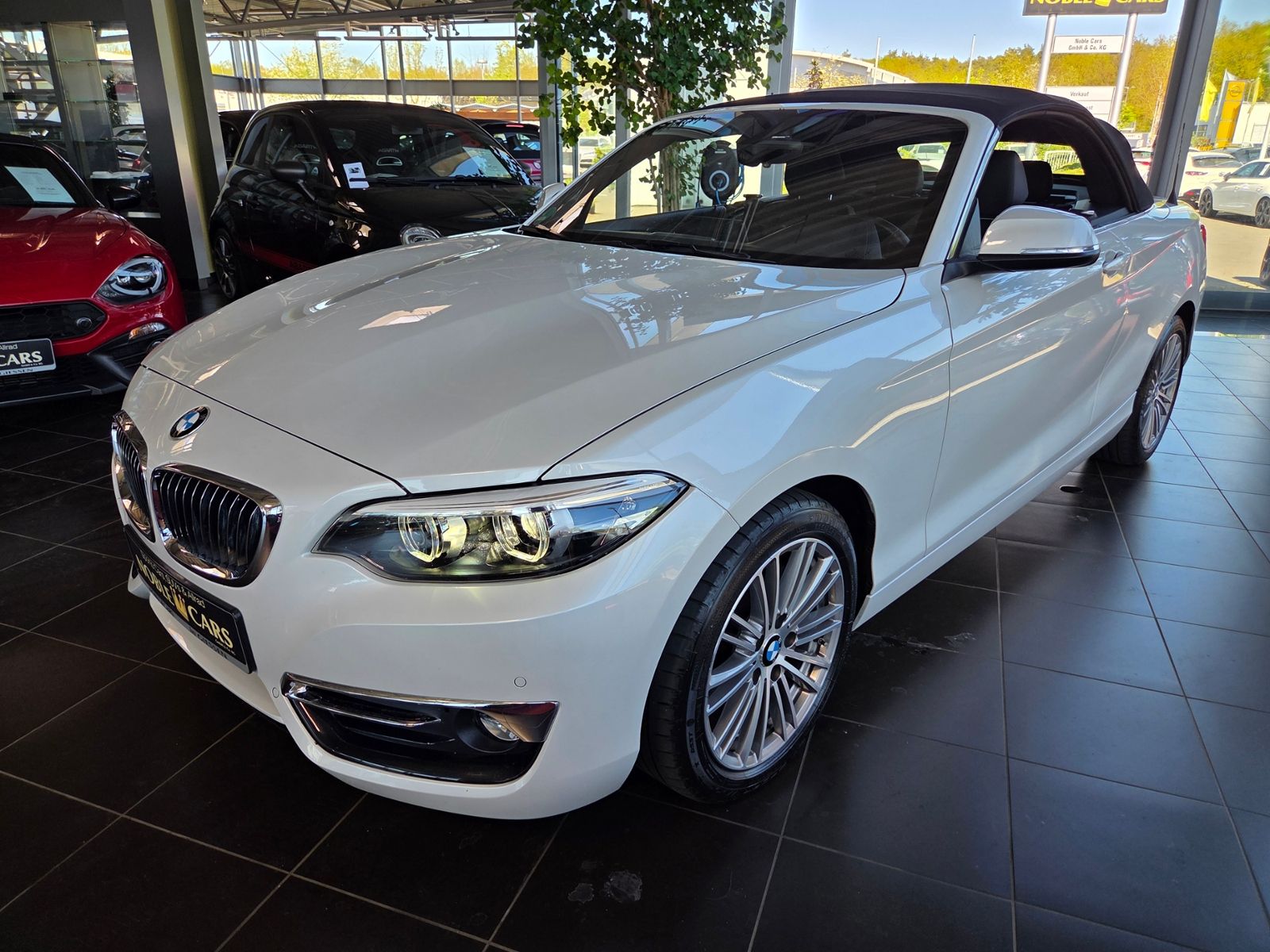 Fahrzeugabbildung BMW 220i Cabrio Luxury Line AHK LED NAV SHZ PDC ALU