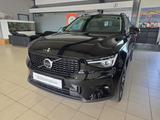 Volvo XC40 B4 Plus Dark ACC BLIS 360° Leder Pixel-LED - Volvo XC40 in Dresden