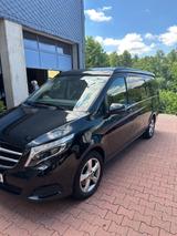 Mercedes-Benz Marco Polo 250 d 4 Matic Automatik - Offers matching your search criteria
