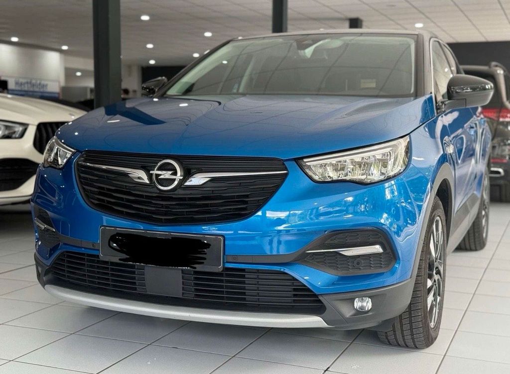 Image of Opel Other
