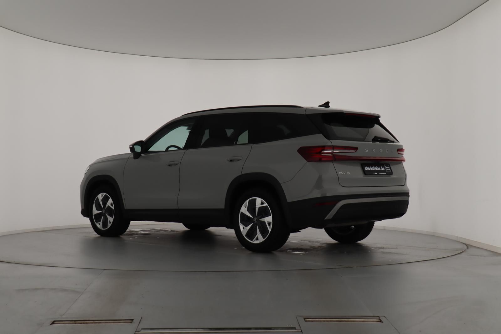 Skoda Kodiaq - Bild 7