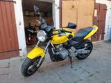 Honda CB 600 F Hornet PC34 - HONDA 1998 HORNET