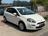 Fiat Punto 1.2 Easy 1.HD*Klima*Allwetter*Kein TÜV* - Fiat Punto: Weiß