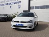 Volkswagen Golf VII 1.2 TSI Allstar NAVI TEMPOMAT SITZHZG M - VW Golf Gebrauchtwagen in Rostock