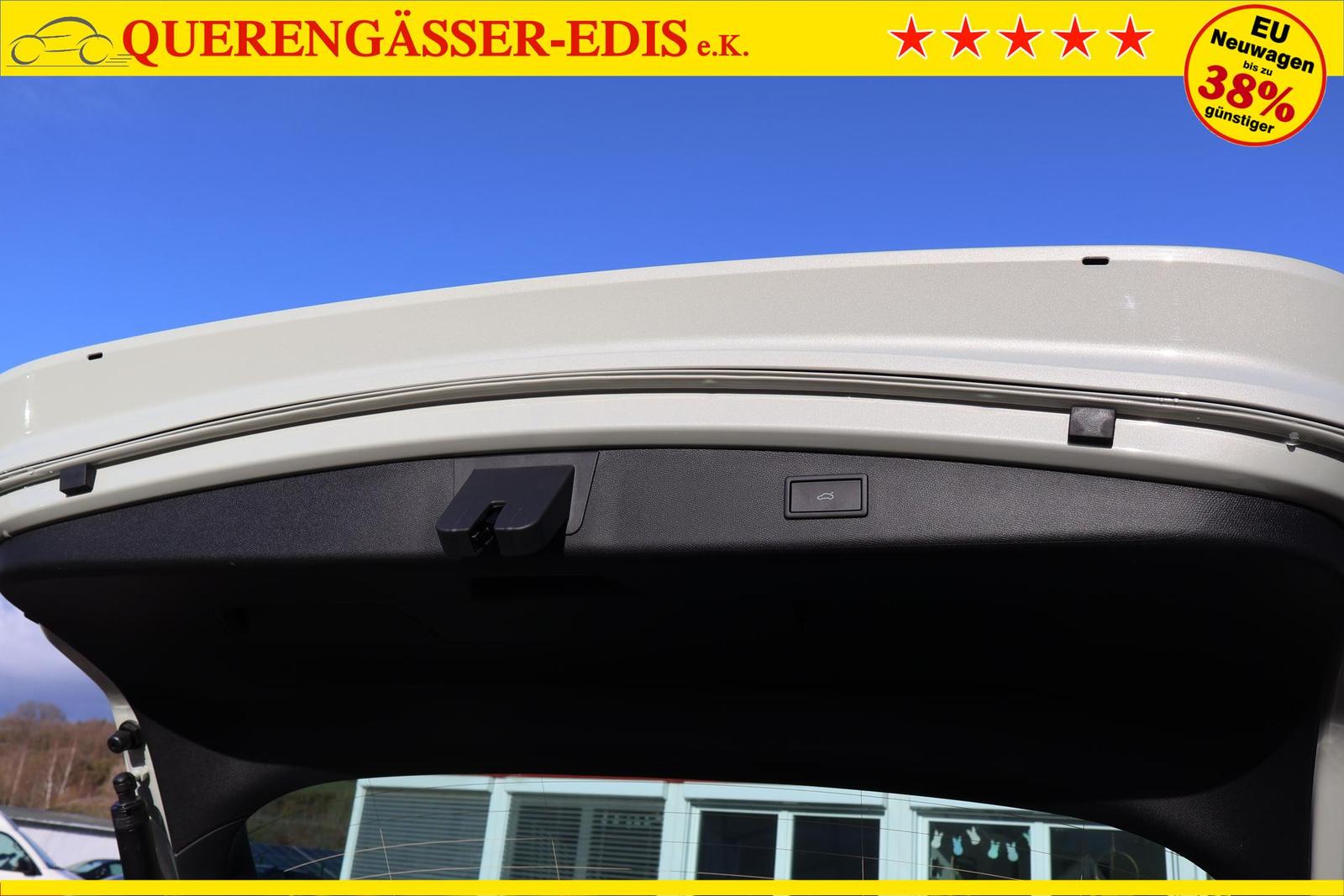 Cupra Leon 1.5 eTSI DSG Taiga Grau -34% 110 kW (150...