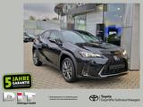 Lexus UX 300h F Sport Design e) ACC FLA SpurH LM - Lexus Jahreswagen