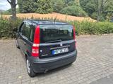 Fiat panda - Fiat Panda in Hagen