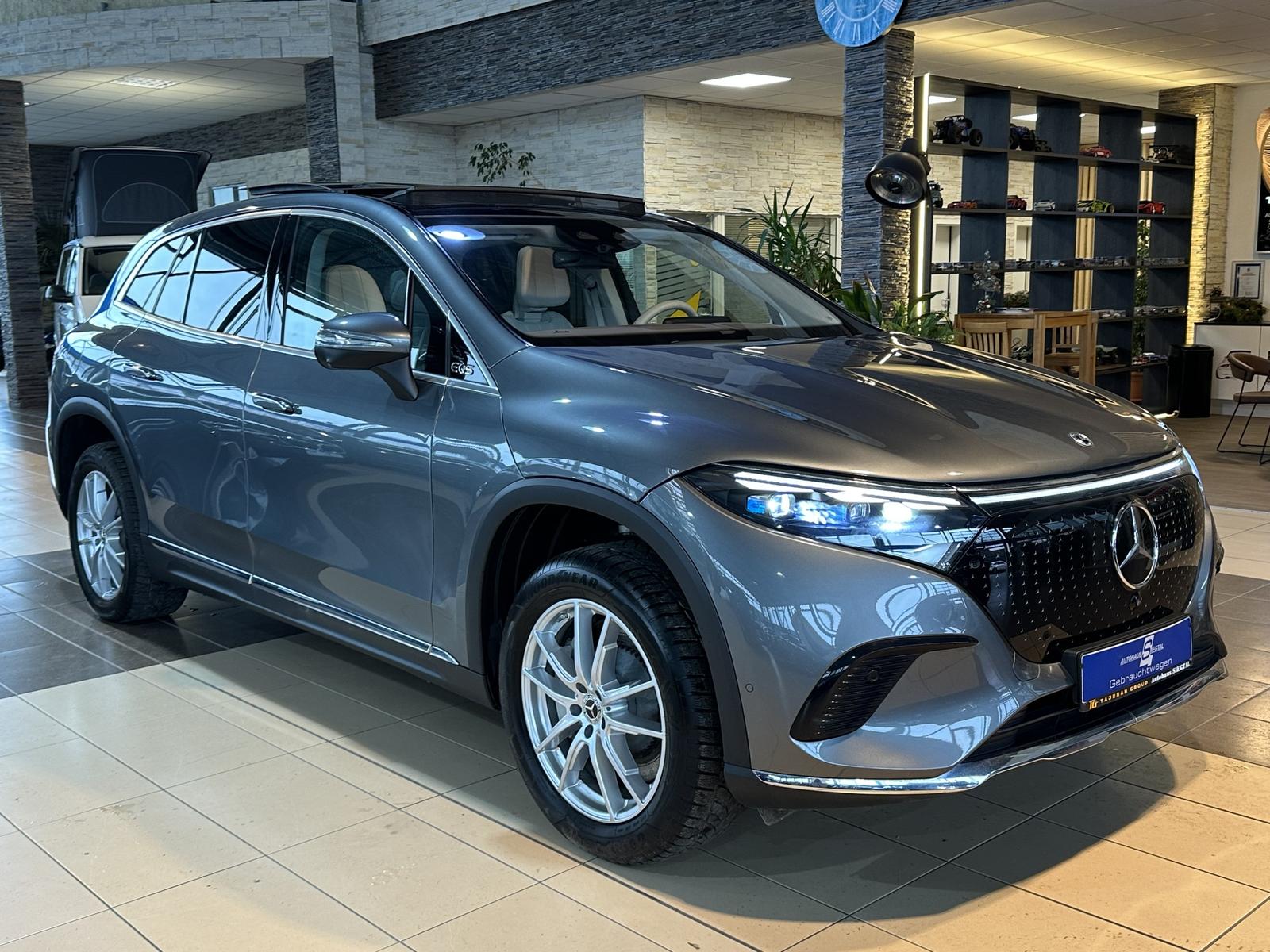Mercedes-Benz EQS 450+ SUV ElectricArt Pano. Leder AHK 360°Cam