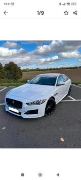 Jaguar XE R-Sport in Weiß - Jaguar XE in Dortmund