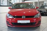 Volkswagen Golf VII Trendline BlueMotionTech - Volkswagen Golf: Trendline Bluemotion