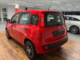 Fiat Panda 1.2 Urban Easy KLIMA.ALU.DAB.PDC.TÜV.NEU - gebrauchte Fiat Panda aus dem Jahr 2019