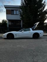 Corvette C5 5.7 Coupé Autom. - - Corvette C5 Gebrauchtwagen