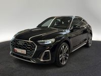 Audi SQ5 - Vorschau Bild 3