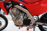 Honda CRF 125 F - HONDA CRF