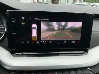 Skoda Octavia - Vorschau Bild 18