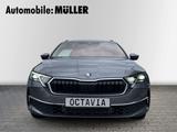 Skoda Octavia Combi Selection 2,0 TDI 110 kW 7-Gang-DS - Skoda Octavia Gebrauchtwagen in Leipzig