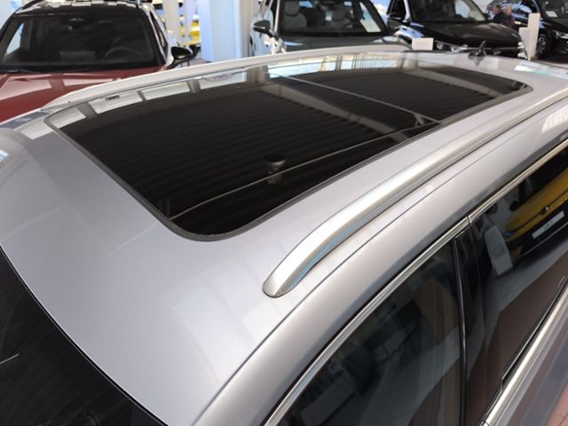 Fahrzeugabbildung Volkswagen Passat Variant 2.0 TDI DSG Alltrack 4MOTION PANO