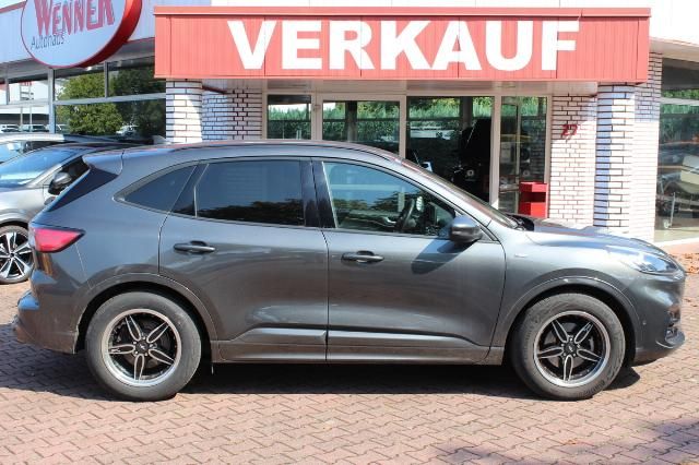 Ford Kuga ST Line X Ecoblue MHEV + Assistenzp.+Winter