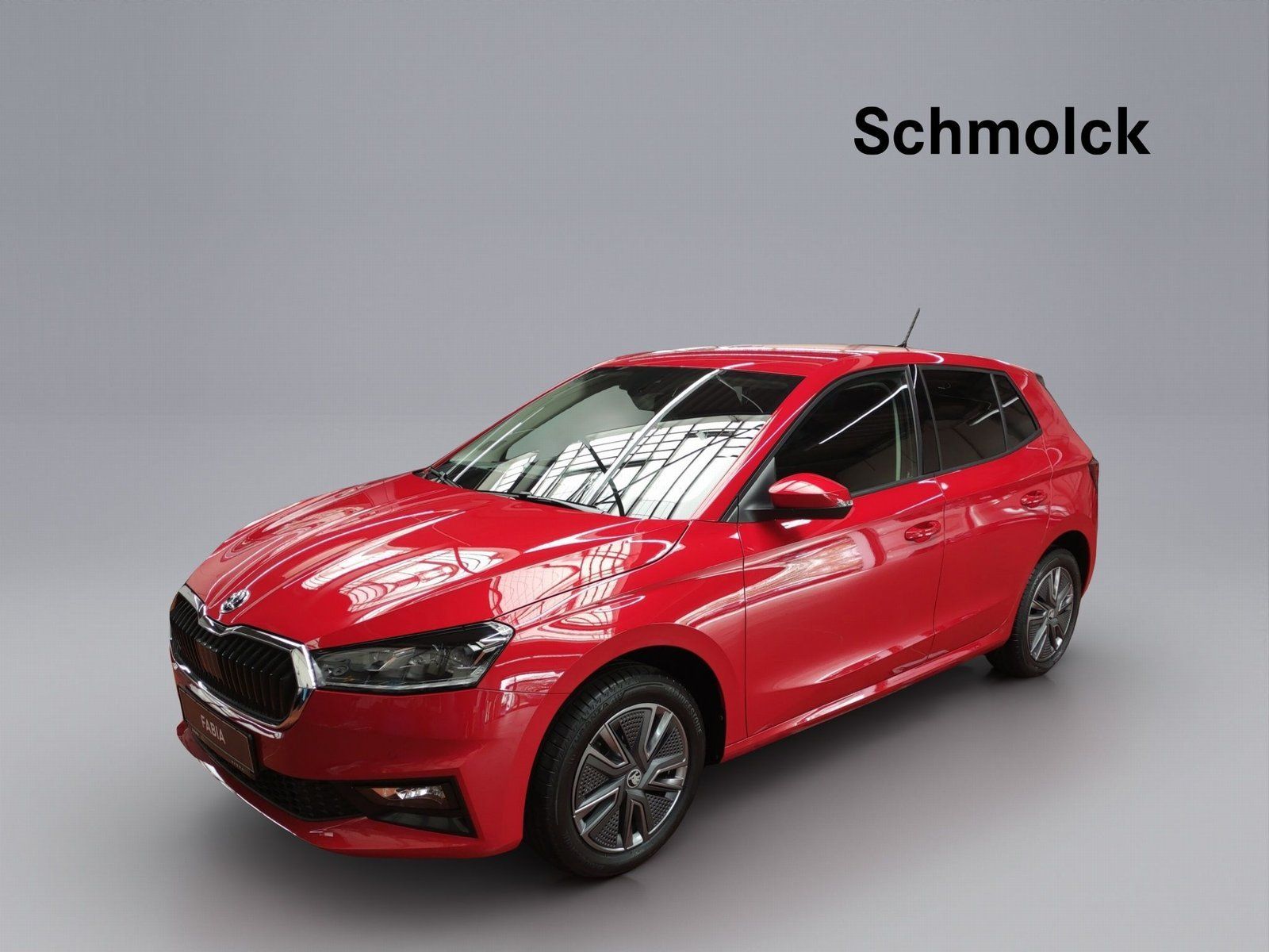 Skoda Fabia Balance 1.0 TSI DSG 116 PS LED ACC SHZ RFK