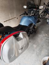 Honda CBF600 Neue Reifen & Batterie - HONDA 2005 CBF 600
