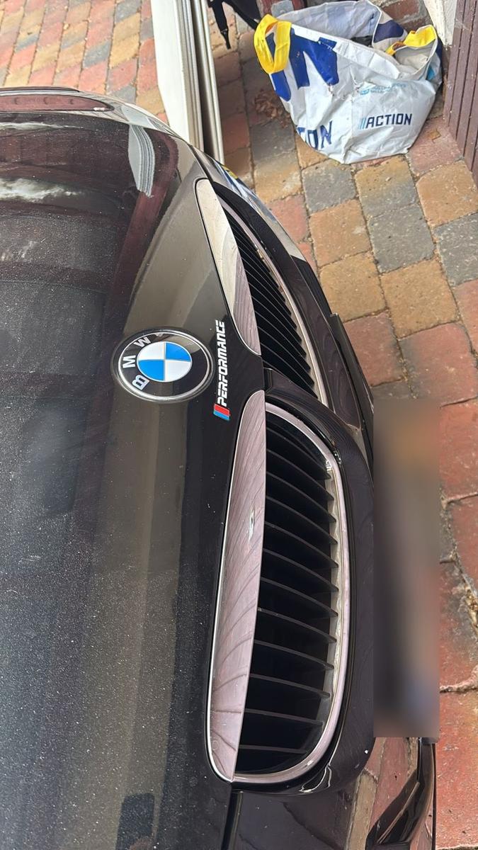 BMW 318 2007 — rear view