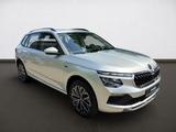Skoda Kamiq Tour 1.0 TSI 85 KW AHK PDC Kamera - Skoda Kamiq Gebrauchtwagen in Mülheim (Ruhr)
