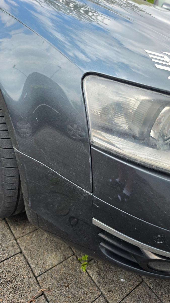 Audi Quattro 2008 — photo 11