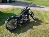 Big Dog Motorcycles Pitbull - Offers matching your search criteria