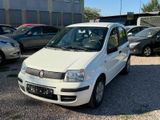 Fiat Panda 1.1 8V, HU Neu - Fiat Panda in Erfurt