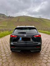 Lexus NX 300 300h E-FOUR Luxury Line Luxury Line - Lexus NX 300 von privat