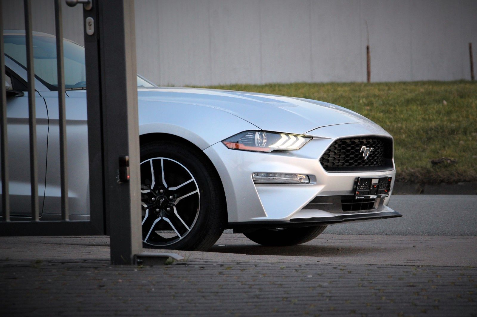 Ford Ford Mustang 2.3 EcoBoost Cabrio / Premiumpaket