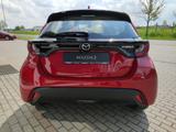 Mazda 2 Hybrid AGILE Klimaaut RFK Lenkradheizg Tempoma - Mazda 2 Hybrid aus 2023
