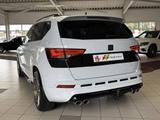 Cupra Ateca 4Drive /LED/Navi/Beats/Spur/360°/Ahk - Cupra Ateca: Automatik