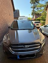 Ford Kuga 1,5 EcoBoost 4x2 110kW ST-Line ST-Line - Ford Kuga: Allradantrieb, 2.5