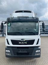 MAN 15.290 TGM Tiefkühlkoffer/ LBW / ThermoKing - MAN Tgm