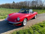 Alfa Romeo Spider - Alfa Romeo Spider aus 1987