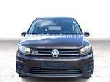 Volkswagen Caddy Maxi*CNG*7-SITZER*1.HAND* - mit CNG-Antrieb: Kleinbus