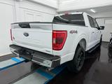 Ford F 150 3.5 Eco XLT 4x4 Facelift/CrewCab/LKW/NAVI/ - Ford F 150 aus 2021