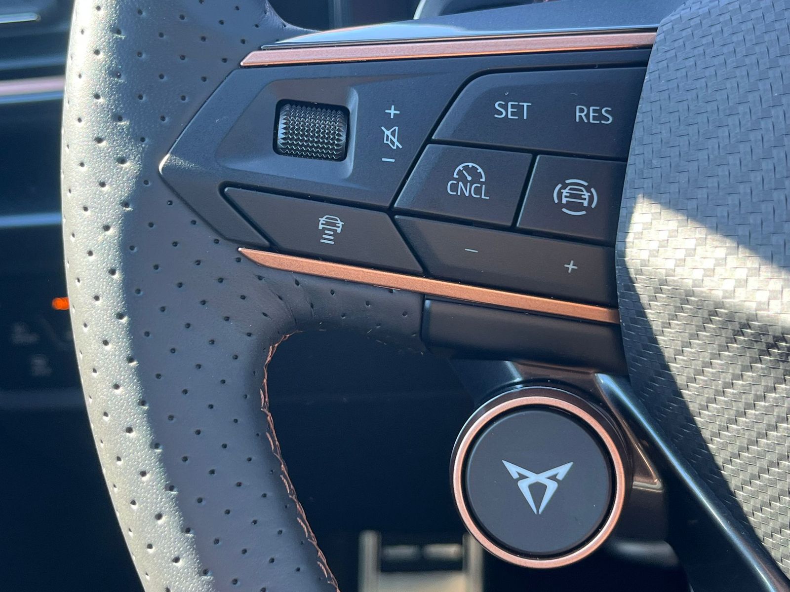 Fahrzeugabbildung CUPRA Leon 1.5 eTSI *PANO*ALCAN.*Drive2*ACC