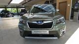 Subaru Forester Active - Subaru Forester: Grün