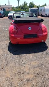 Volkswagen VW Beetle Cabrio - Volkswagen Beetle aus 2003: Cabrio