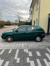 Volkswagen Golf 3 Syncro 1997 - Volkswagen Golf: Syncro
