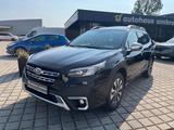 Subaru Outback 2.5 Platinum*ACC*Glasdach - Subaru: Gl