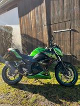 Kawasaki Z300 mit Akrapovic Sportauspuff - Offers