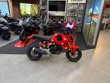 Honda MSX125 mit nur 2240km *Service neu* - Offers