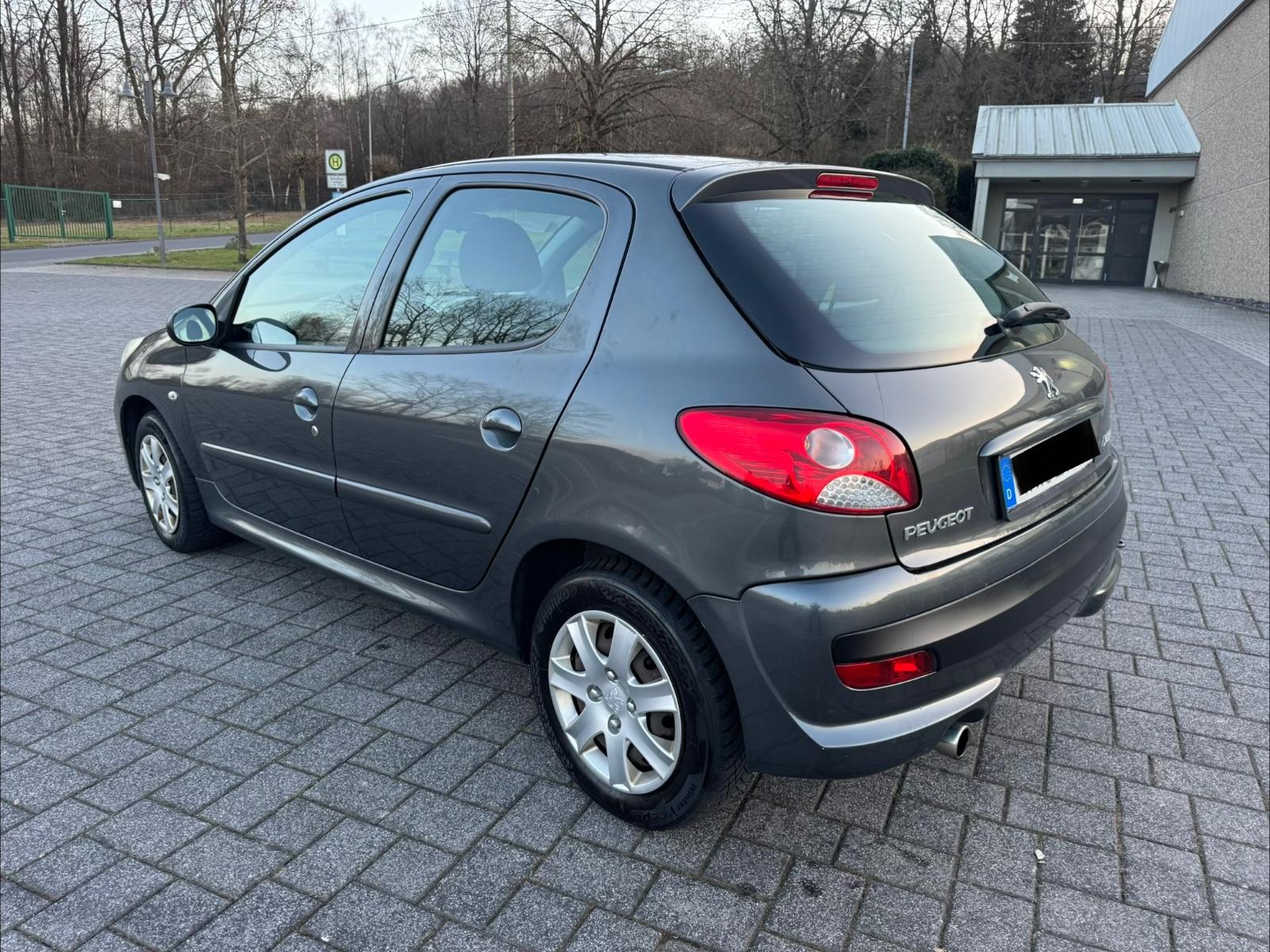 Peugeot 206 + Basis