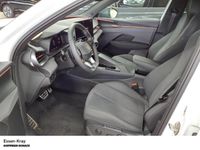 Cupra Terramar - Vorschau Bild 5